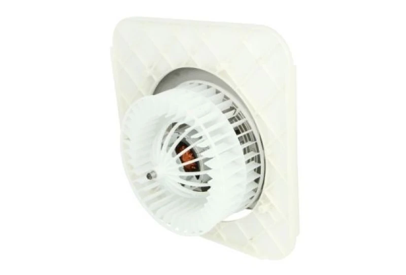 Image of THERMOTEC Blower motor THERMOTEC DDM017TT