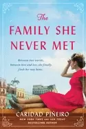 Image of family she never met a novel