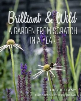 Image of Brilliant and wild by Lucy Bellamy