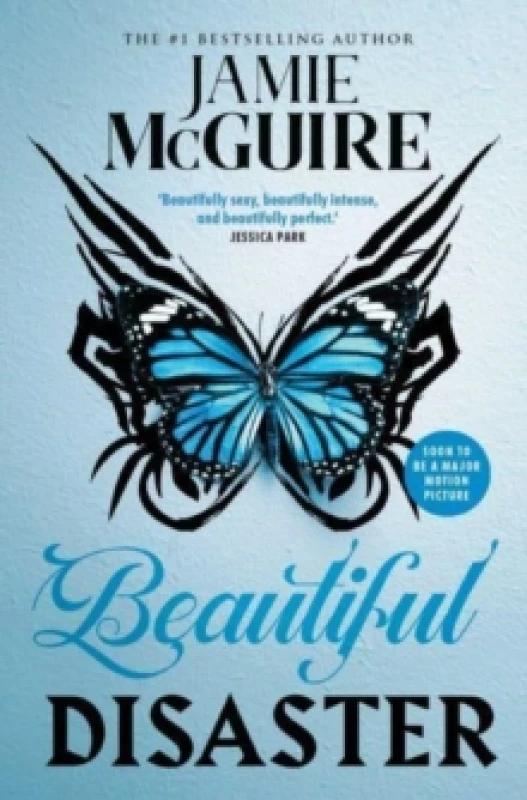 Image of Beautiful Disaster Paperback / softback