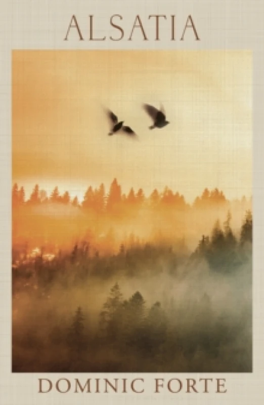 Image of Alsatia Paperback / softback