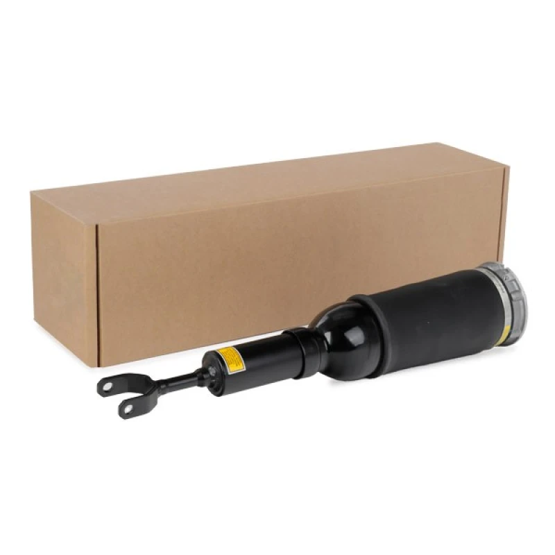 Image of RIDEX Air suspension strut RIDEX 4118A0044