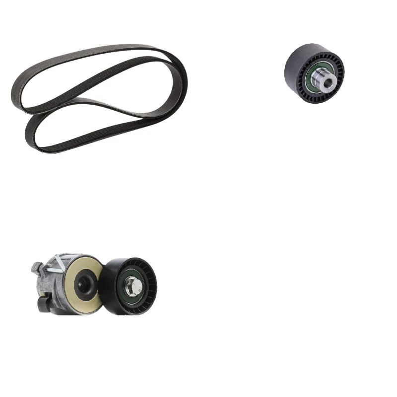 Image of goCORE GCE420005 V-ribbed belt set V-Ribbed Belt Set (542)