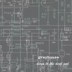 image of Dives to the Deep End by Greyhouse Vinyl Album