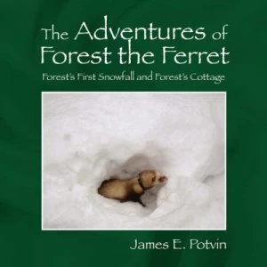 Image of Adventures of Forest the Ferret Book
