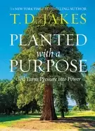 Image of planted with a purpose god turns pressure into power