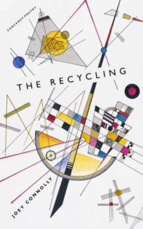 Image of The Recycling Paperback / softback