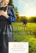 Image of amish homecoming four stories
