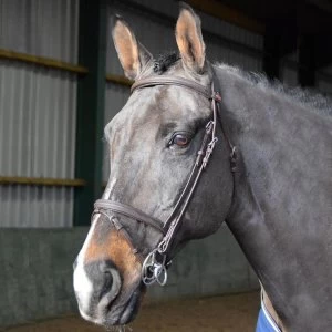 John Whitaker Ready to Ride Flash Bridle - Havana