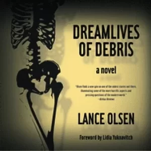 Image of dreamlives of debris