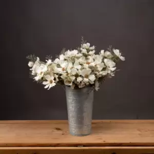 Image of Cream Cosmos Spray