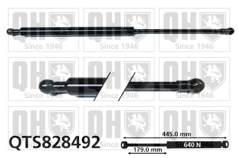 Image of QUINTON HAZELL Tailgate strut QUINTON HAZELL QTS828492