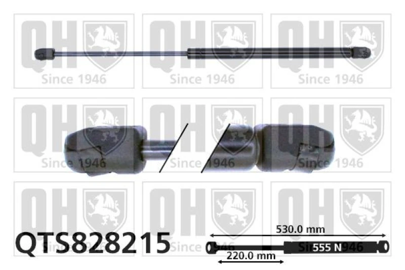 Image of QUINTON HAZELL Tailgate strut QUINTON HAZELL QTS828215