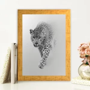 Image of AC787648486 Multicolor Decorative Framed MDF Painting