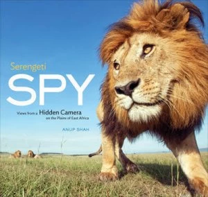 Image of Serengeti Spy by Anup Shah Hardback