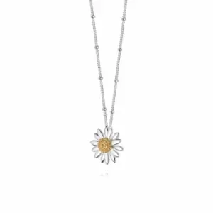 Image of Daisy London Jewellery 925 Sterling Silver English Daisy Bobble Necklace Medium Sterling Silver