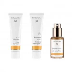 Image of Dr. Hauschka Radiant Rose Set 3 x 30ml