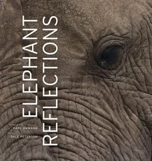 Image of Elephant reflections by Karl Ammann