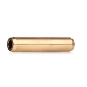 Image of FRECCIA Valve Guides BMW,OPEL,PEUGEOT G11524