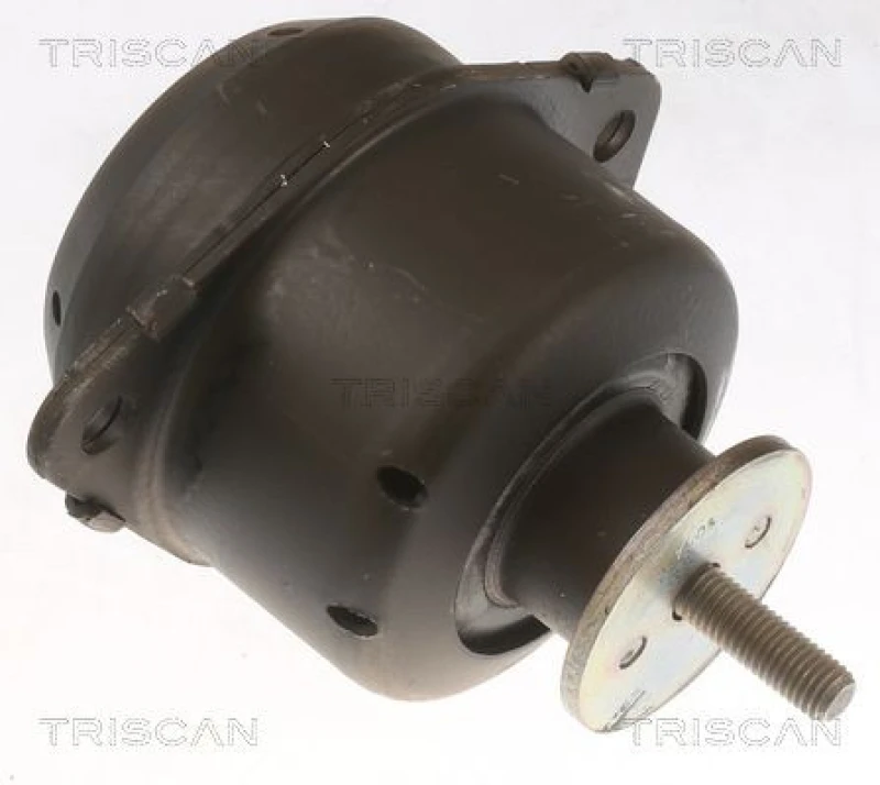 Image of TRISCAN Engine mount TRISCAN 8505 65103