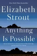 Image of anything is possible a novel