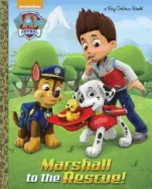 Image of marshall to the rescue