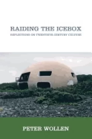 Image of raiding the icebox reflections on twentieth century culture