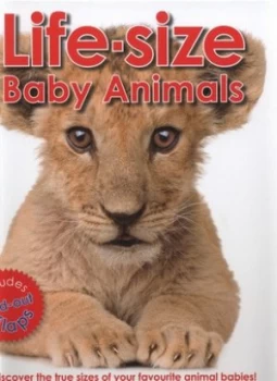 Image of Life-Size Baby Animals by Marie Greenwood and Jenna Riggs Hardback
