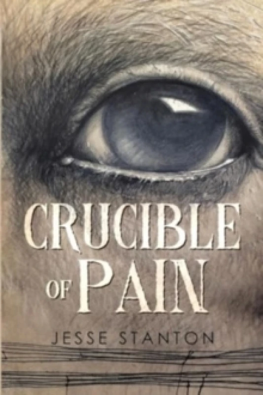 Image of Crucible of Pain Paperback / softback