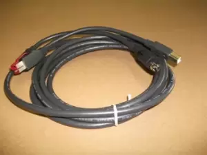 Image of Epson PUSB Y cable: 010842A Cyberdata P-USB 3m
