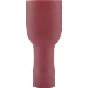 Image of Blade receptacle Connector width 4.8mm Connector thickness 0.8 mm