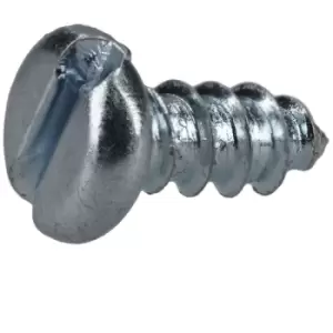 image of R-TECH 337097 Slotted Pan Head Self-Tapping Screws No. 4 6.4mm - Pa...