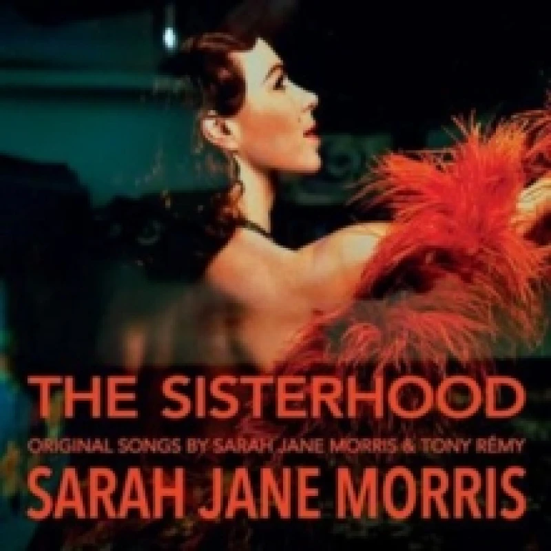 Image of The sisterhood (Limited Edition) Vinyl