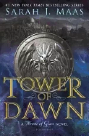 Image of tower of dawn