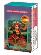 Image of choose your own adventure 4 book boxed set 2