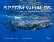 Image of Sperm Whales : The Gentle Goliaths of the Ocean