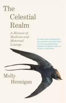 Image of The celestial realm - Molly Hennigan - Hardback - Used