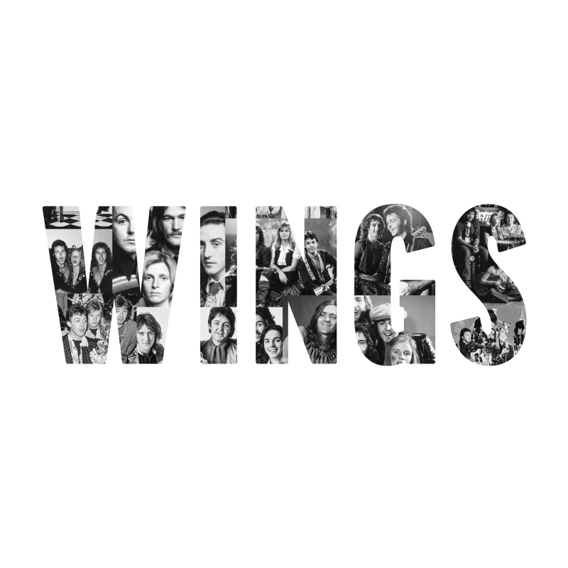 Image of WINGS CD / Album