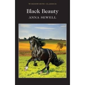 Image of Black Beauty (Wordsworth Classics) Paperback