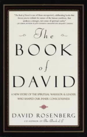 Image of Book of David by David Rosenberg