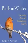 Image of birds in winter surviving the most challenging season