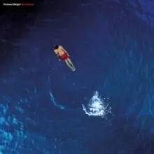 Image of Wet Dream