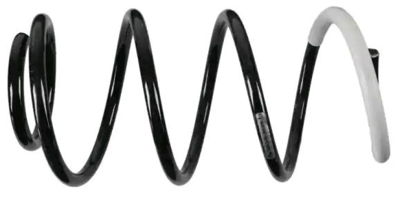 Image of Coil spring SACHS 993 578