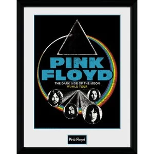 image of Pink Floyd Dsom World Tour Collector Print