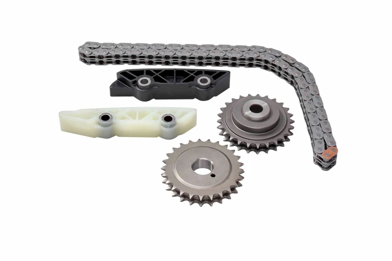 Image of Timing chain kit BorgWarner 59007150001