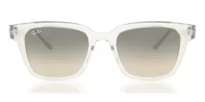 image of Ray-Ban Womens The Wayfarer Sunglasses - Transparent