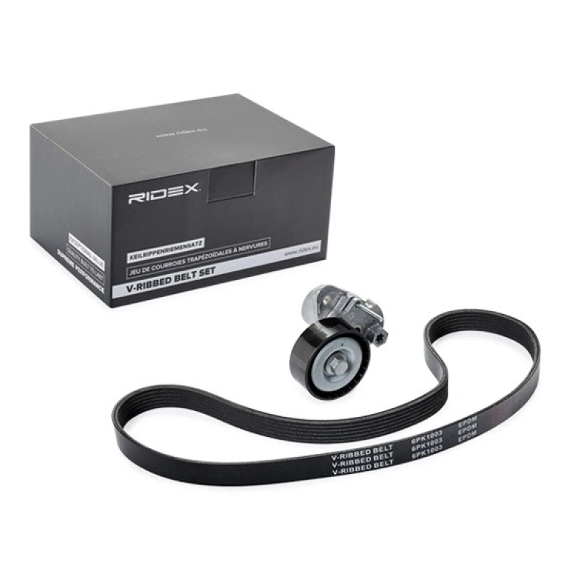 Image of RIDEX 542R0463 V-ribbed belt set Check alternator freewheel clutch & replace if necessary V-Ribbed Belt Set (542)