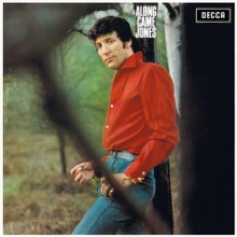 Image of Along Came Jones Vinyl