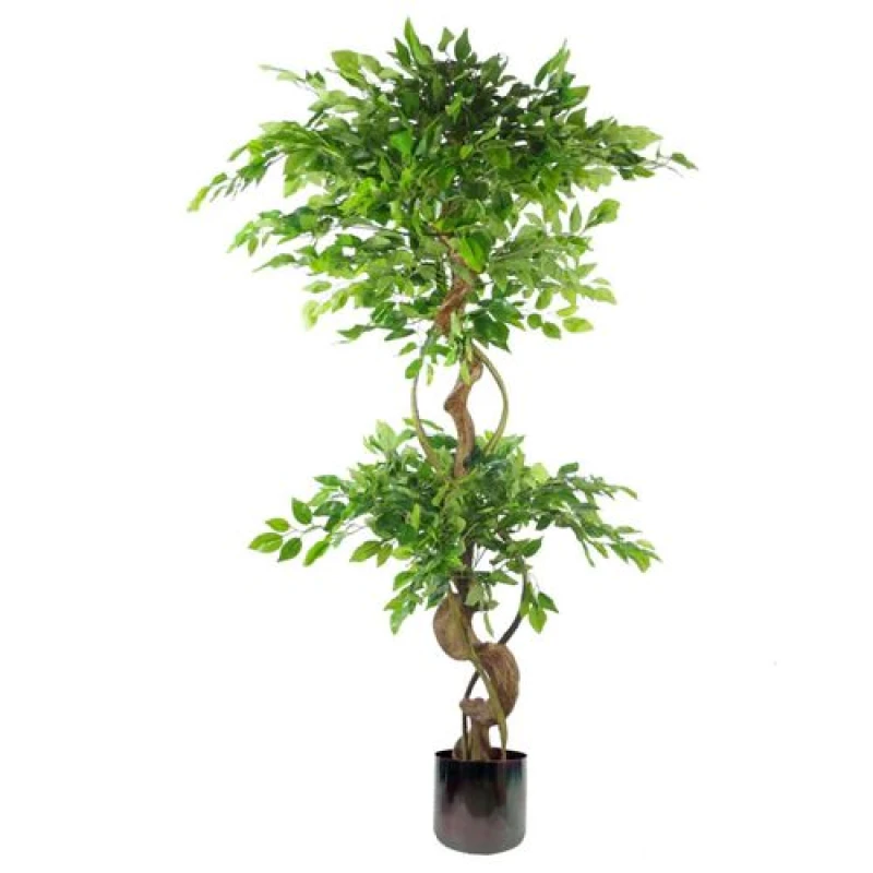 Image of N/A 150cm Twisted Trunk Artificial Japanese Fruticosa Ficus Tree Rainbow Planter