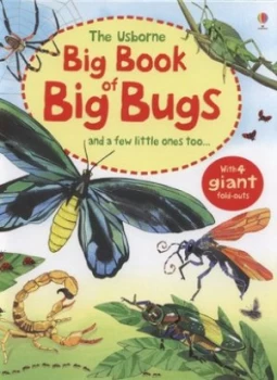 Image of The Usborne Big Book of Big Bugs by Emily Bone and Fabiano Fiorin Hardback